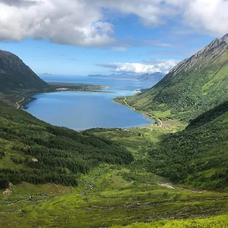 Flott I Morfjorden,